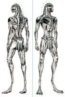 Male Dawn Hunter, full body view