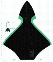 Dorsal and ventral views of shuttle